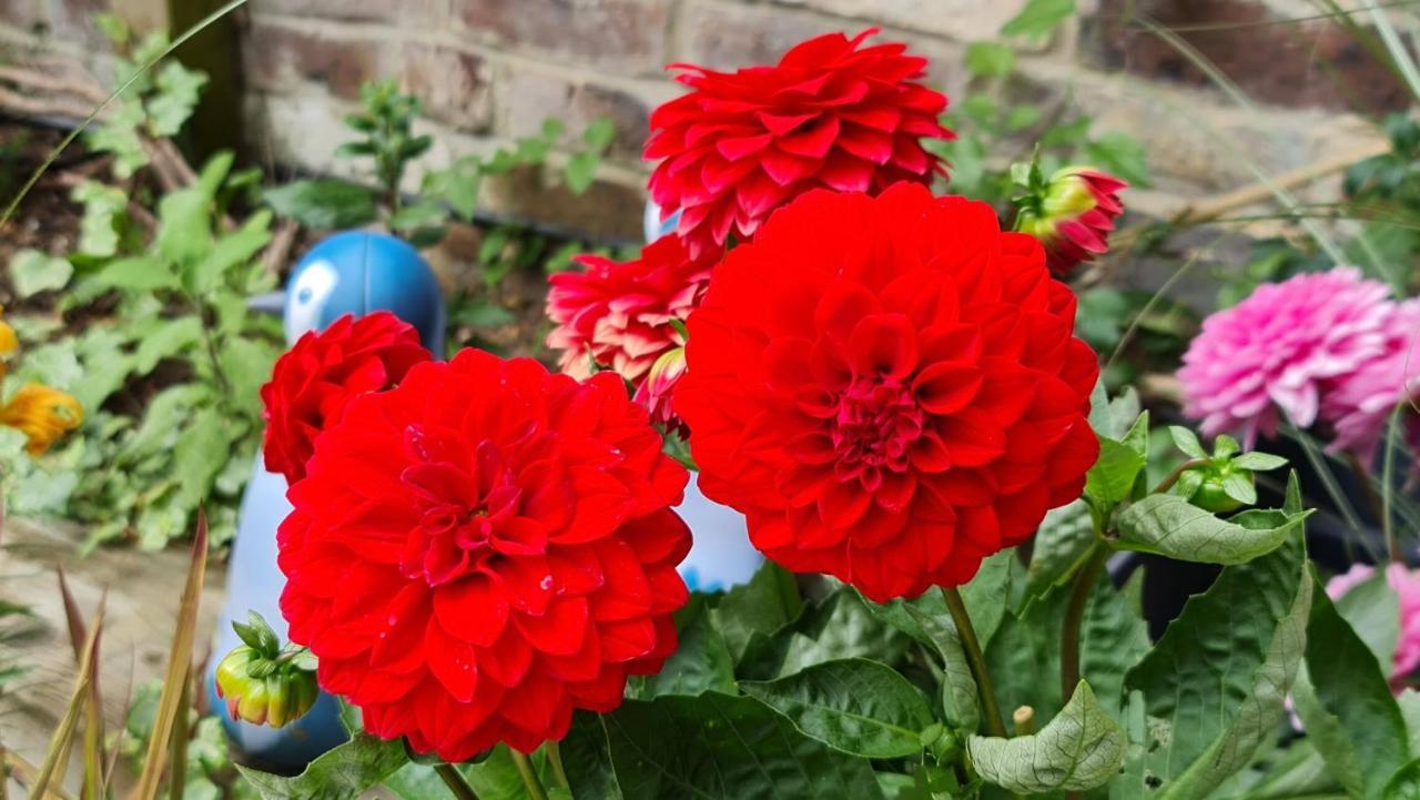 Cottage Grove Homestay Rooms Портсмът Екстериор снимка